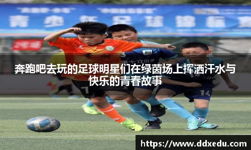 奔跑吧去玩的足球明星们在绿茵场上挥洒汗水与快乐的青春故事